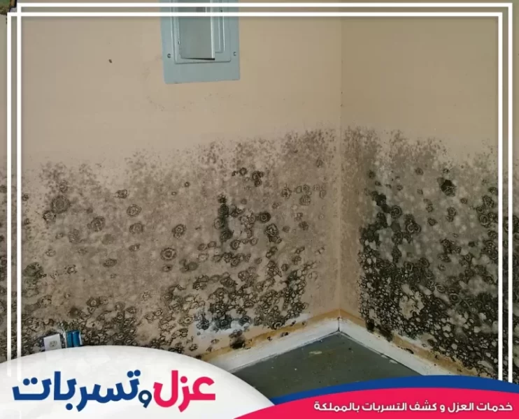 تسربات المياه في المباني القديمة | التحديات والحلول