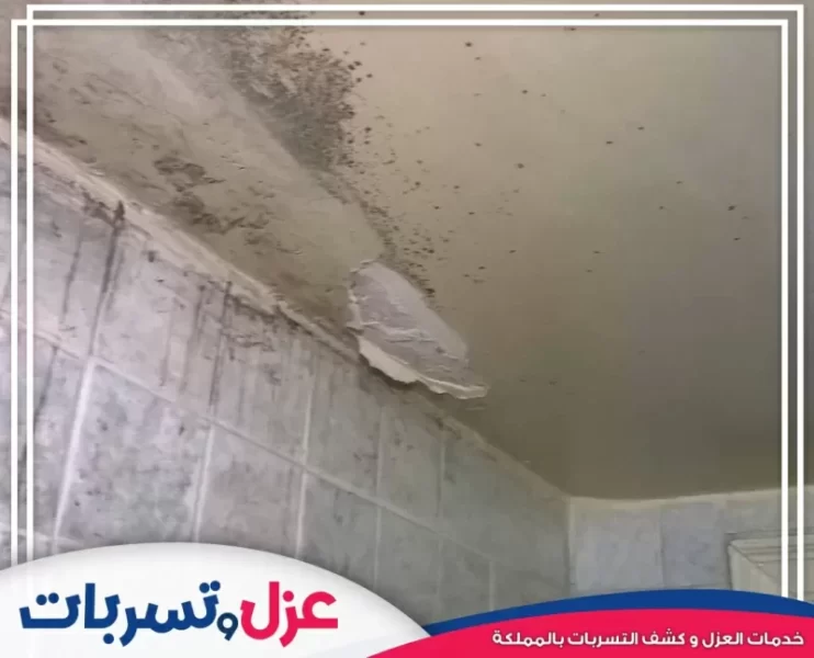 معالجة تسربات أسطح المنازل: المشاكل والحلول الفعّالة