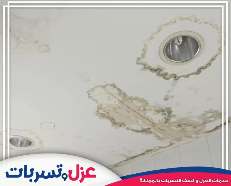 عزل الأسطح التي تتعرض للتأثيرات البحرية (مثل السفن والمنشآت البحرية)