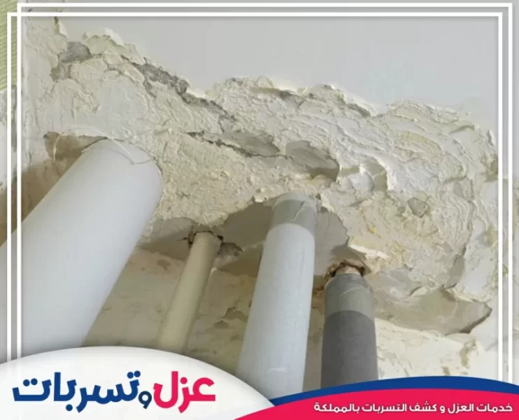 كشف تسربات الأسطح الرطبة الناتجة عن الأمطار والري وعلاج الرطوبة