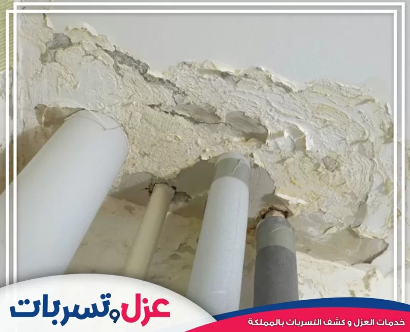 كشف تسربات الأسطح الرطبة الناتجة عن الأمطار والري وعلاج الرطوبة