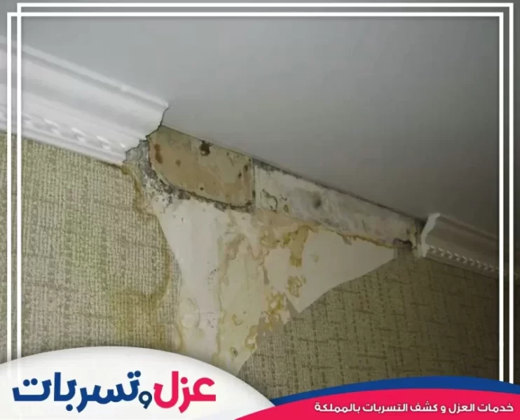 أسباب تسربات المياه في المنازل وكيفية الوقاية منها
