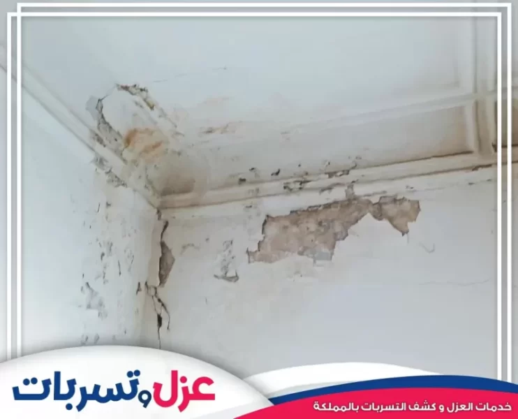 كشف تسربات المياه في الخرسانة والمنشآت والأسطح المعدنية