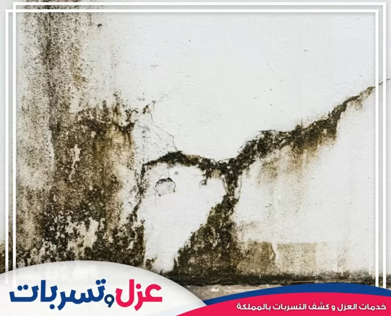 شركة فحص حمامات بالقطيف