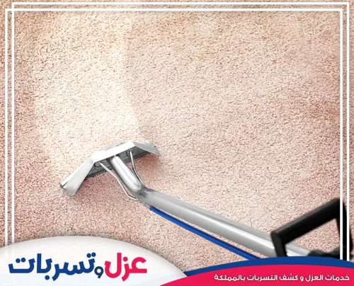 غسيل الموكيت غسيل الموكيت الاحترافي باستخدام آلة استخلاص قوية، كما يظهر رأس الشفط على سطح الموكيت البيج.